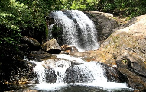 Nyayamakad Waterfalls View Point