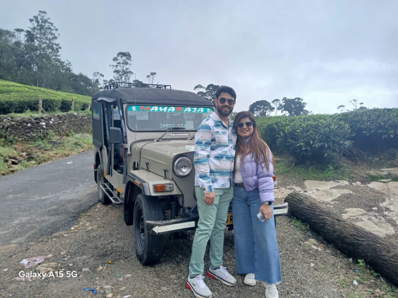 Wild elephants in natural habitat