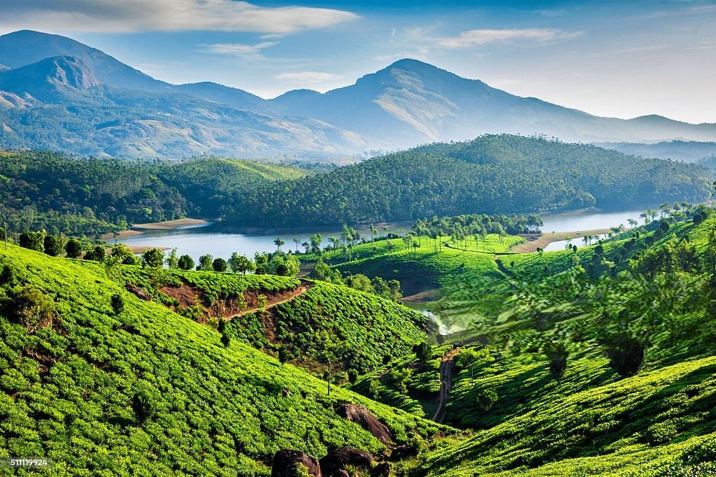 Munnar landscape