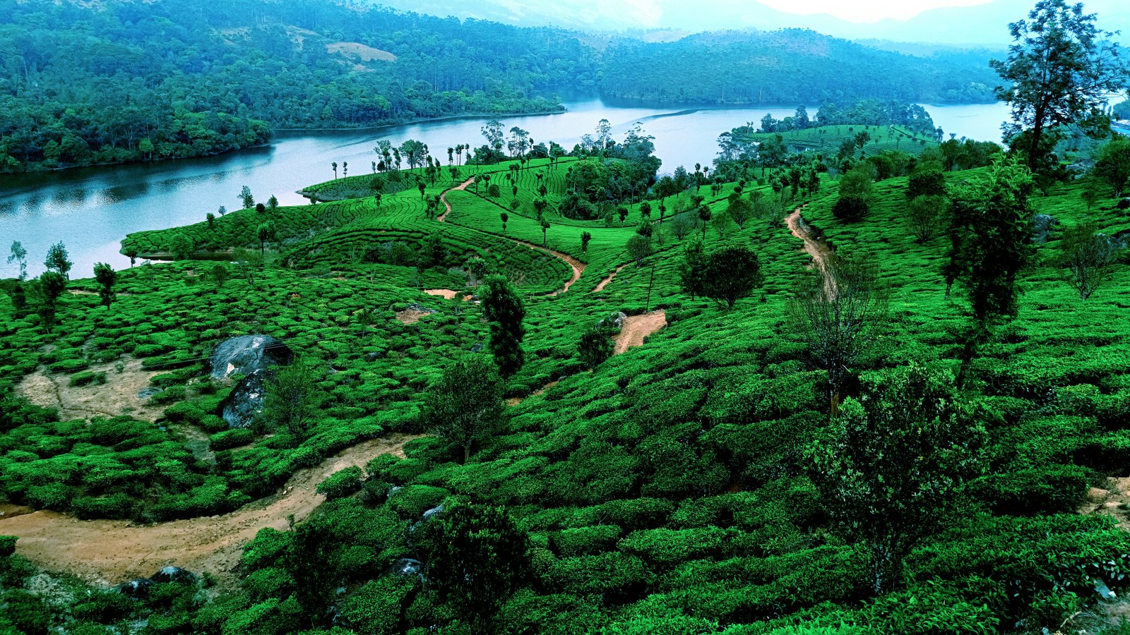 Munnar mountains